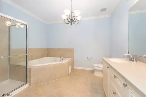 29 Ridgeview Ln #29, Mount Arlington, NJ 07856 photo 16