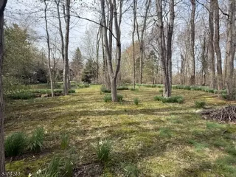 691 Ridgedale Ave, East Hanover Twp, NJ 07936