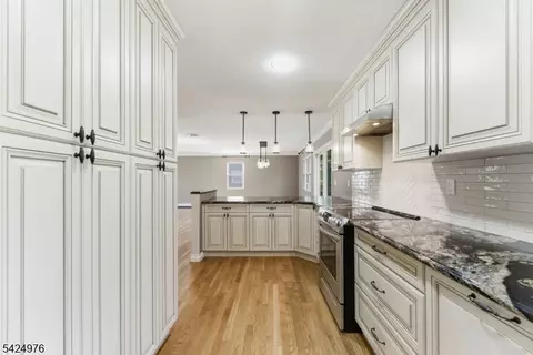 6 Oak Dr, Randolph, NJ 07869 photo 17