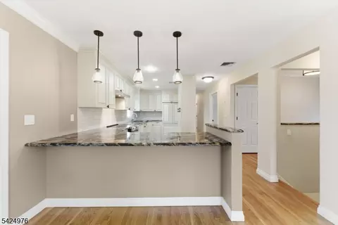 6 Oak Dr, Randolph, NJ 07869 photo 13