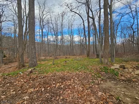 34 Starlight Dr, Morris Twp, NJ 07960