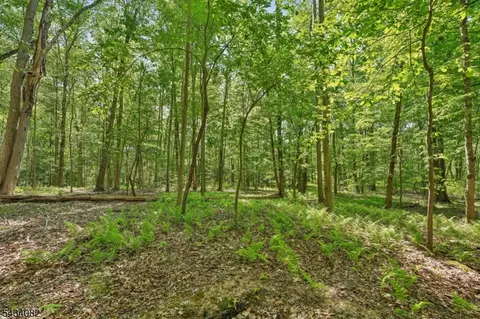 0 Homestead Rd, Long Hill Twp, NJ 07933