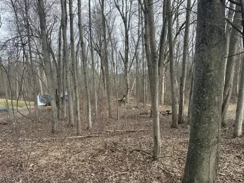 36 Countryside Rd, Knowlton Twp, NJ 07832
