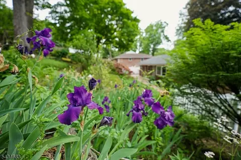 Exterior - 106 Division Ave, Summit, NJ 07901 photo 4 of 10