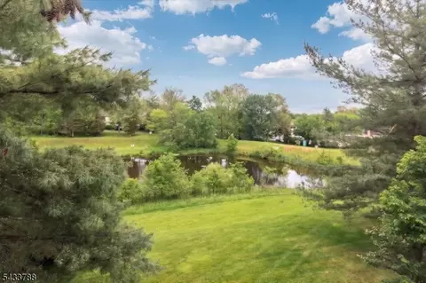 347 Potomac Dr, Basking Ridge, NJ 07920 photo 16