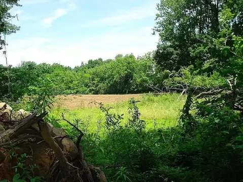 0 Mellicks Woods Rd, Pohatcong Twp, NJ 08804