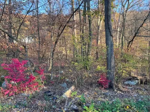 9 Old Woodland Trl, Jefferson Twp, NJ 07438