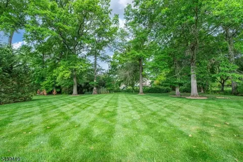 11 Crane Dr, Pine Brook, NJ 07058 photo 30