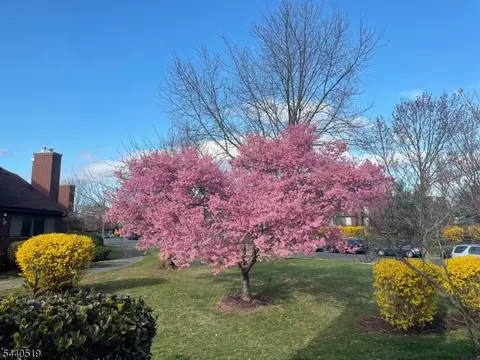 25 Bloomingdale Dr #2C, Hillsborough, NJ 08844