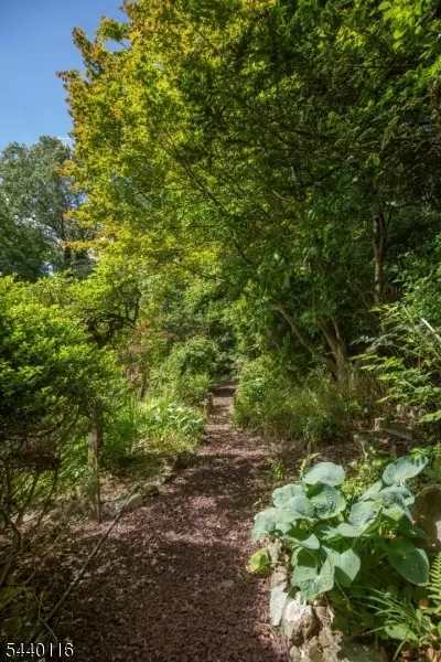Other - 5 Thads Hill Rd, Hampton, NJ 08827 photo 12 of 13