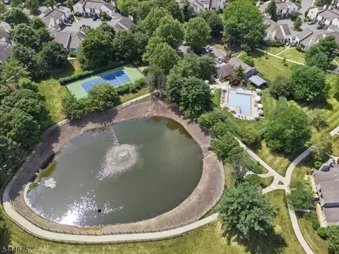 2902 Hemlock Pl, Basking Ridge, NJ 07920 photo 35