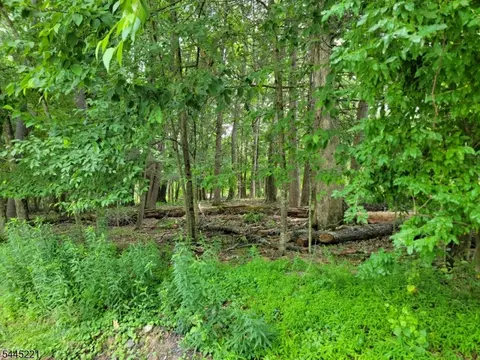 231 Old Chimney Ridge Rd, Montague Twp, NJ 07827