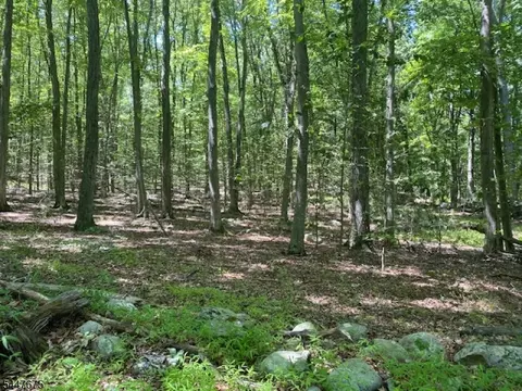 10 Newman Rd, Hardwick Twp, NJ 07825