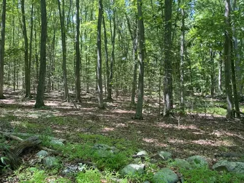 10 Newman Rd, Hardwick Twp, NJ 07825