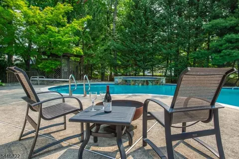 10 Reed Ct, Wayne, NJ 07470 photo 33