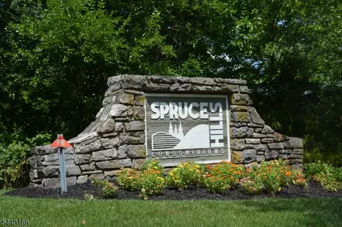 1306 Spruce Hills Dr, Glen Gardner, NJ 08826