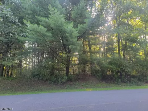337 Wagon Wheel Rd, Montague Twp, NJ 07827