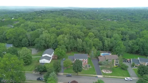 47 E Cheryl Rd, Pine Brook, NJ 07058 photo 37
