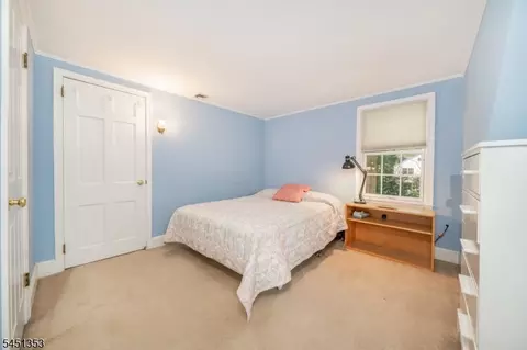 14 Brook Ct, Summit, NJ 07901 photo 24