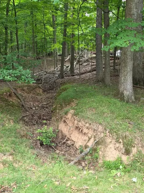 Other - 154 Hillside Ave, Bridgewater, NJ 08807 photo 6 of 6