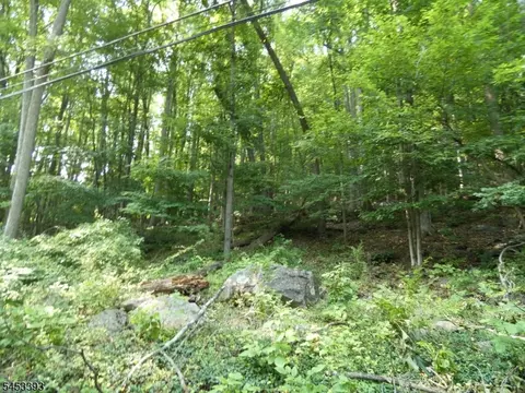 20 Sawmill Rd, Tewksbury Twp, NJ 08833