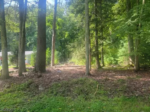 356 Rolling Ridge Rd, Montague Twp, NJ 07827