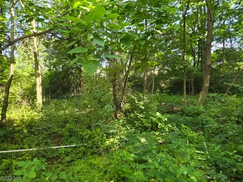 2 Hewlett Rd, Montville Twp, NJ 07082
