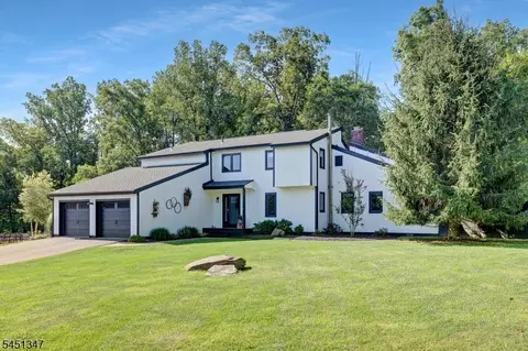 11 Tara Way, Pittstown, NJ 08867
