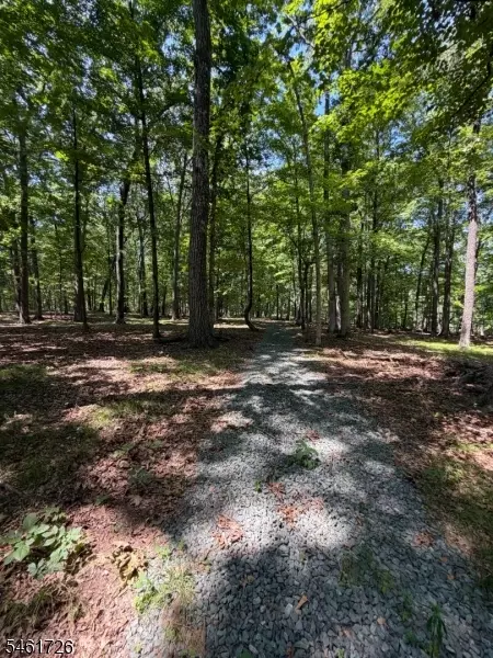 24 Shagbark Ln, Readington Twp, NJ 08889
