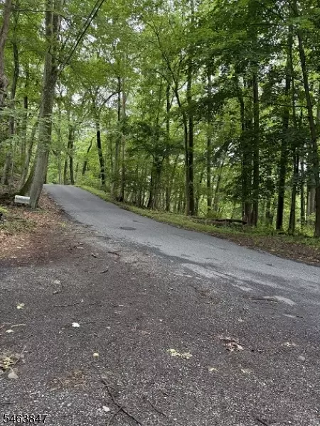 14 Landsdown Rd, Annandale, NJ 08801