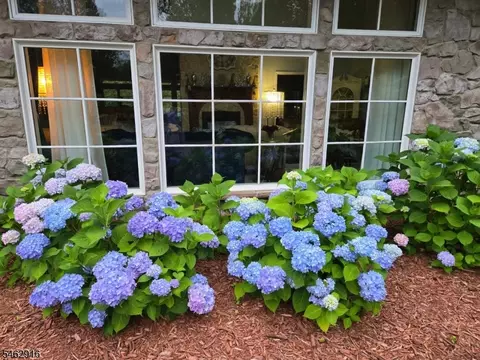 Other - 160 Black Brook Rd, Hampton, NJ 08827 photo 4 of 8