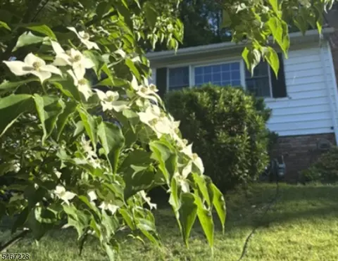 Other - 9 Harrison Ct, Summit, NJ 07901 photo 6 of 7