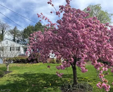Other - 9 Harrison Ct, Summit, NJ 07901 photo 7 of 7