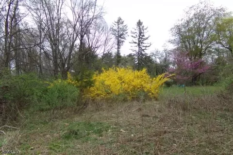 8 Hill Rd, Montague Twp, NJ 07827