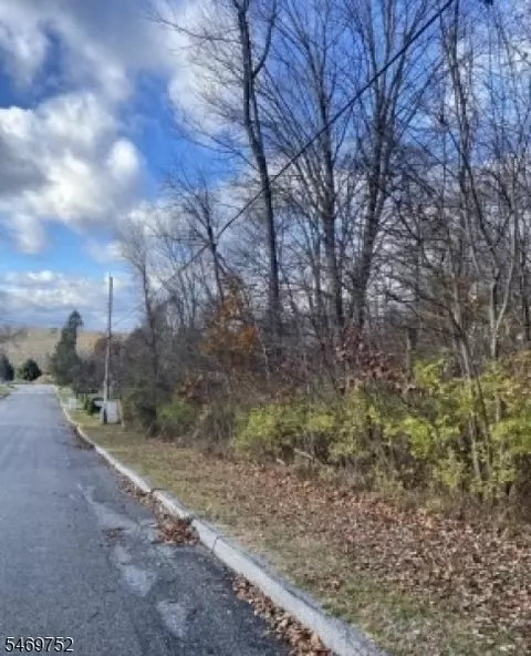 6 Myrtle Dr, Montague Twp, NJ 07827