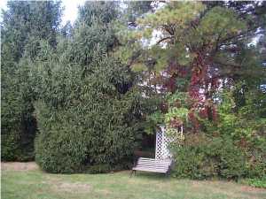 91 Milford Ave, Whiting, NJ 08759 photo 3