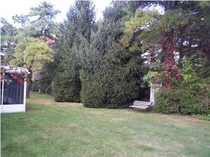 91 Milford Ave, Whiting, NJ 08759 photo 2