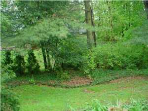 65 Burnside Ave, Trenton, NJ 08620 photo 2