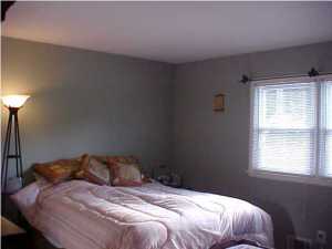 353 Birch Bark Dr, Brick, NJ 08723 photo 3