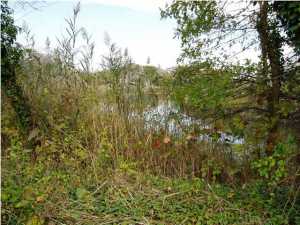 8 Pond Rd, Rumson, NJ 07760 photo 3