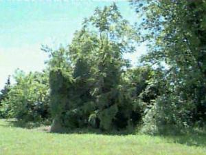 249 Drum Point Rd, Brick, NJ 08723 photo 1