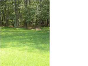 15 Blue Spruce Dr, Jackson, NJ 08527 photo 3