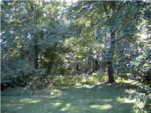 208 Cold Indian Springs Rd, Ocean, NJ 07712 photo 3