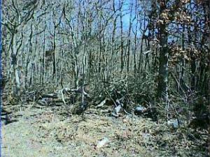 4 Bayberry, Forked River, NJ 08731 photo 1
