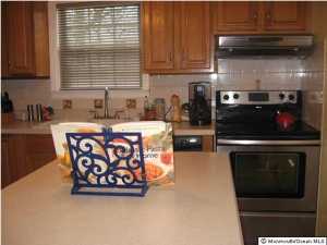 446 Mohawk Dr, Brick, NJ 08723 photo 8