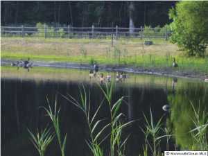 18 Lakeside Dr, Jackson, NJ 08527 photo 15