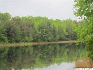 18 Lakeside Dr, Jackson, NJ 08527 photo 19
