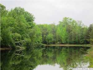 18 Lakeside Dr, Jackson, NJ 08527 photo 18