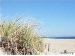 2394 Birch Pl, Manasquan, NJ 08736 photo 2