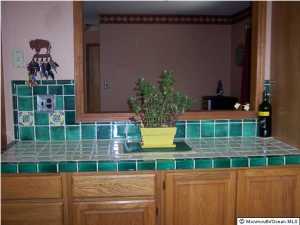 493 Frank Applegate Rd, Jackson, NJ 08527 photo 6